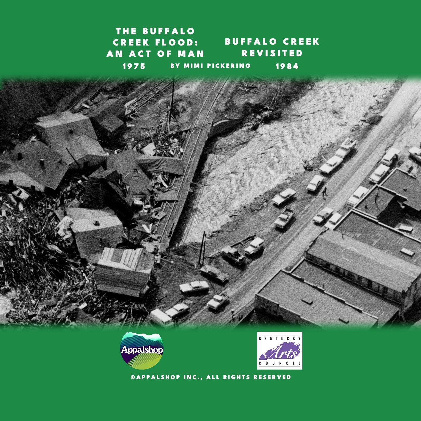 The Buffalo Creek Flood Collection